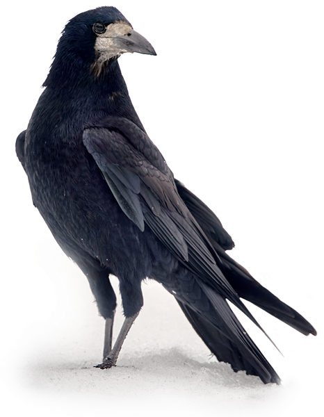 120318aa031_kynnivares05.png